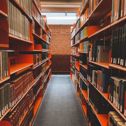 Symmetrical View of Bookshelves in a Library